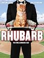 Rhubarb