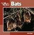 Bats (Our Wild World)