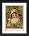 Framed Prints of Plants/humulus Lupulus from Mary Evans