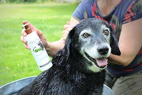 Dog Shampoo, Stops Itchy Skin, Cat Flea Shampoo, Calms & Soothes, Organic, Manufacturer Guaranteed (Filthy-Friends 4OZ)