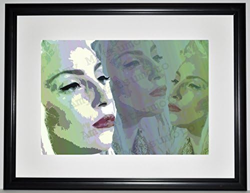 Lady Gaga 19x25 Custom Framed Limited Edition Print by Amy Matsumoto