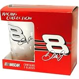 Boelter Brands Dale Earnhardt, Jr. 16oz Frosted Glasses - 2 Pack