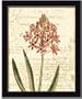 Floral Studies Iv Orange Botanical Flower By Phillippa Collection Art Print Poster Picture Framed Decor 10X12