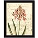 Floral Studies Iv Orange Botanical Flower By Phillippa Collection Art Print Poster Picture Framed Decor 10X12
