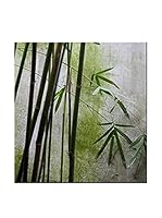 CM Creation Cuadro Decoplex 30X30 Plantas