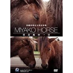 ���ꌧ�w��V�R�L�O���E�{�Ôn�̈�� [DVD]