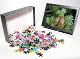 Photo Jigsaw Puzzle of JLM-6177 Douglas Fir - cones from Ardea Wildlife Pets