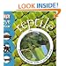 Reptile (Eye Know)