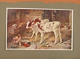 ENGLISH ART DOG IN THE MANGER BY WALTER HUNT OLD PRINT