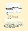 煮干しの解剖教室 (オリジナル入門シリーズ)