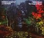 Terry Riley: The Cusp of Magic