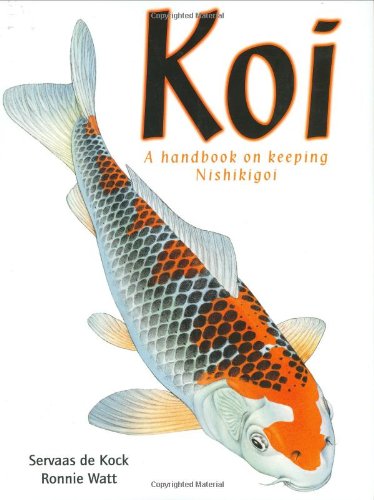 koi fish