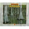 About Habitats: Wetlands