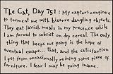 Humorous Doormat - Cat Diary Day 751