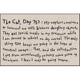 Humorous Doormat - Cat Diary Day 751 by Winning Gifts