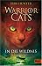 Warrior Cats: In die Wildnis