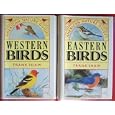 Eastern Birds and Western Birds American Nature Guides American Birding Association Lot of 2 Books by Frank Shaw and Dragon's World Ltd