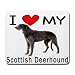 I Love My Scottish Deerhound Dog Mouse Pad