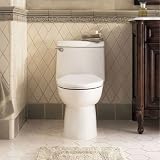 Champion One Piece Elongated Toilet Finish: Silver