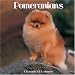 pomeranian37  - Pomeranians 2007 Wall Calendar