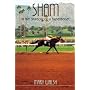 SHAM: In the Shadow of a Superhorse