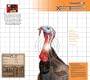 Champion Turkey 18.75x18.75-Inch Xray Paper Target (Pack of 6)