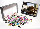 Photo Jigsaw Puzzle of cattle-cattle (breed unknown) from Animal Photography