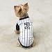Dog Baseball Jerseys / Sporty Jerseys for dogs / X Large WHITE