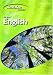 Higher English Revision Notes