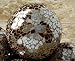 Brown Mosaic Glass Ball Home Decor Art Bowl Display