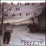 Stones in