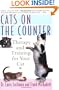 Cats on the Counter: Therapy and Training for Your Cat