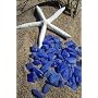 Large 1/2 Pound Lot of Cobalt Blue Sea Beach Glass