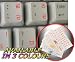 PUNJABI KEYBOARD STICKERS WITH RED LETTERING ON TRANSPARENT BACKGROUND