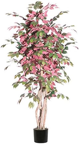Home decor, Holiday decorations, Tree, Plant, 6' Capensia Executive