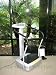 51zE47SJE5L. SL75  Going To Use A Power Plate Machine ? 3 Things to Avoid