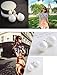 Colorful Double-faced Pearl Double Pearl Beads Plug Stud Earrings WHS541 (7-Pearl)