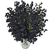 1920 Baby's Breath Gypsophila Artificial Silk Flowers _Navy Blue
