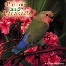 Parrots and Parakeets 2008 Wall Calendar
