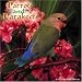 Parrots and Parakeets 2008 Wall Calendar