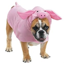 Casual Canine Polyester Piggy Pooch Dog Costume, Large, 20-Inch