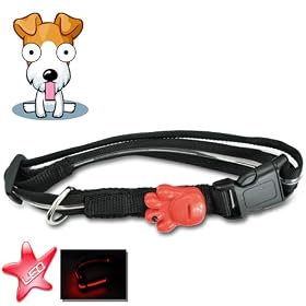 SALE - LED Dog Collar - light up pet collar - Ideal Pet Gift