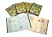 Spruce Street Six Activity Books, Set of 6