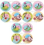 BabyCakes Monthly Baby Photo Onesie Milestone Stickers ~ Pattern Choices (Tweet Birds)