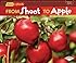 From Shoot to Apple (Start to Finish, Second (Paperback))