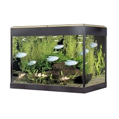 Fluval 15415 Roma 125 Aquarien Kit 80 x 35 x 45 cm