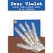 Dear Violet: letter from a desert grave