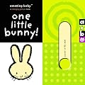 One Little Bunny! (Amazing Baby)