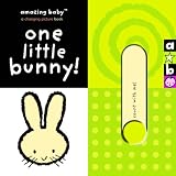 One Little Bunny! (Amazing Baby) by