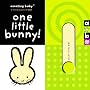 One Little Bunny! (Amazing Baby)